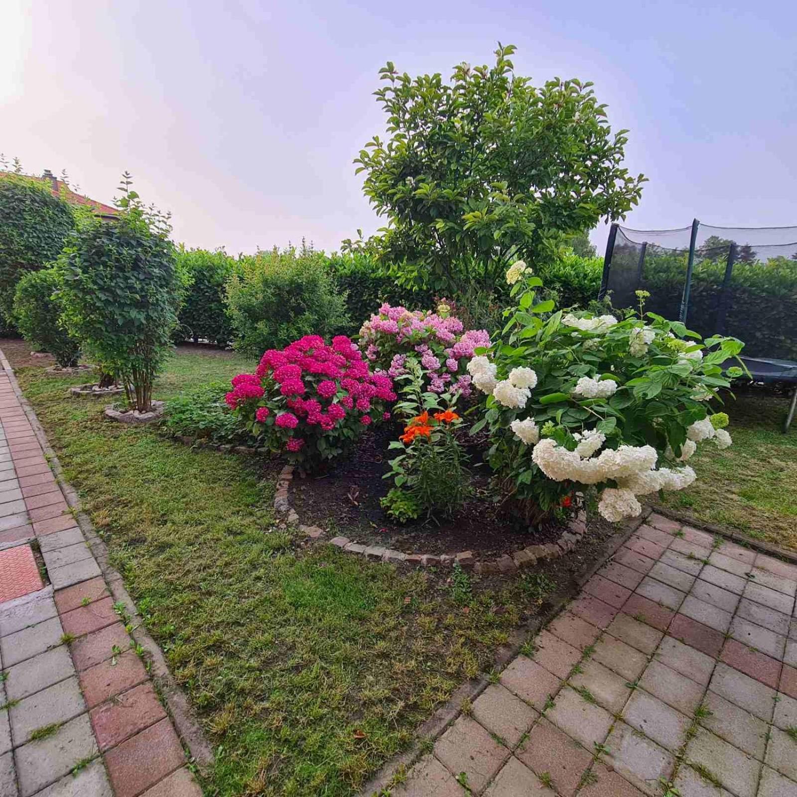 Hana Superior Apartments Bihać Eksteriør bilde