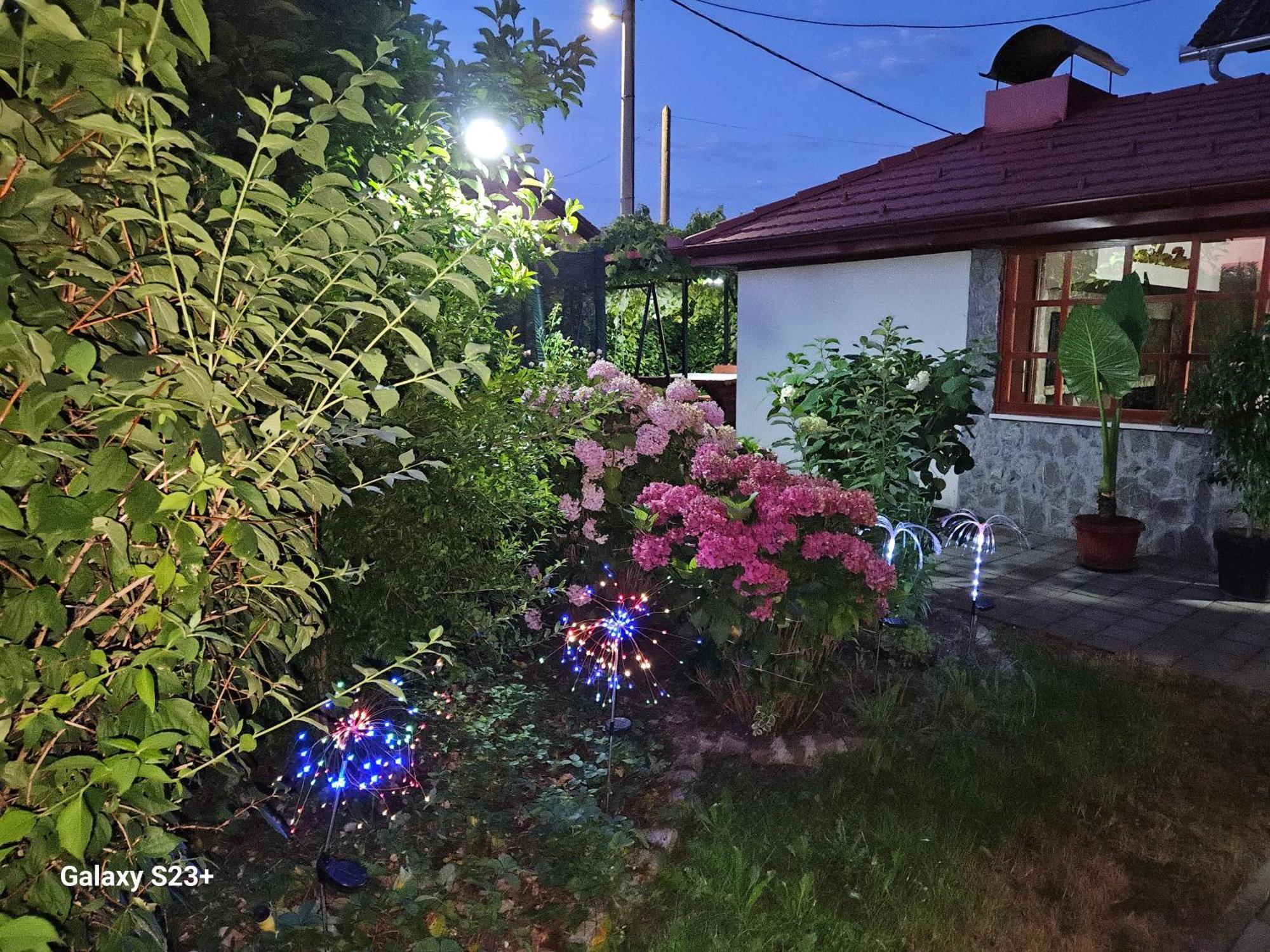 Hana Superior Apartments Bihać Eksteriør bilde